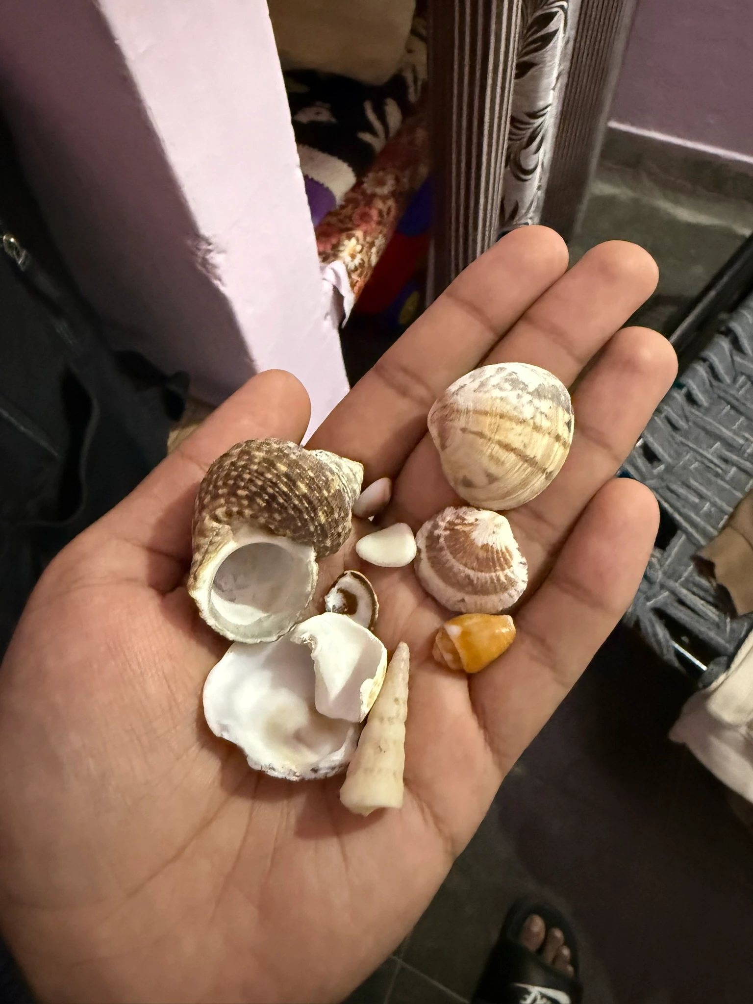 Souvenirs from the beach